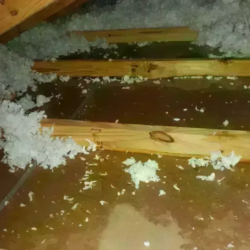 Best Attic Water Damage Service in Brinckerhoff, NY