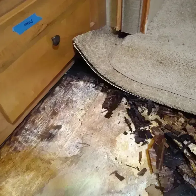 Best Wood Floor Water Damage Service in Brinckerhoff, NY